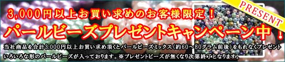 �p�[���r�[�Y�v���[���g�L�����y�[���I